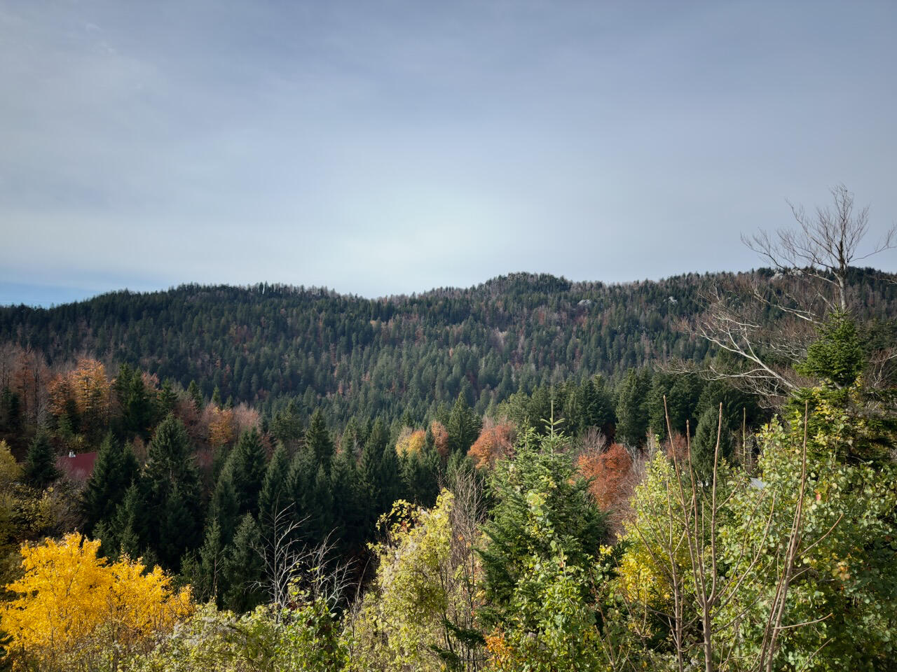 Fotografija - Brda iznad Brestove drage