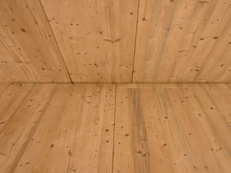 Fotografija - Brestova Draga, šuma