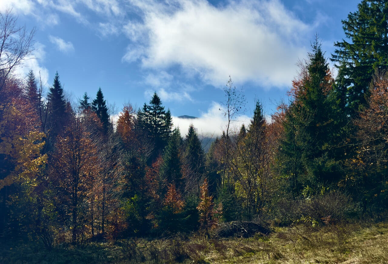 Fotografija - Pogled s terena
