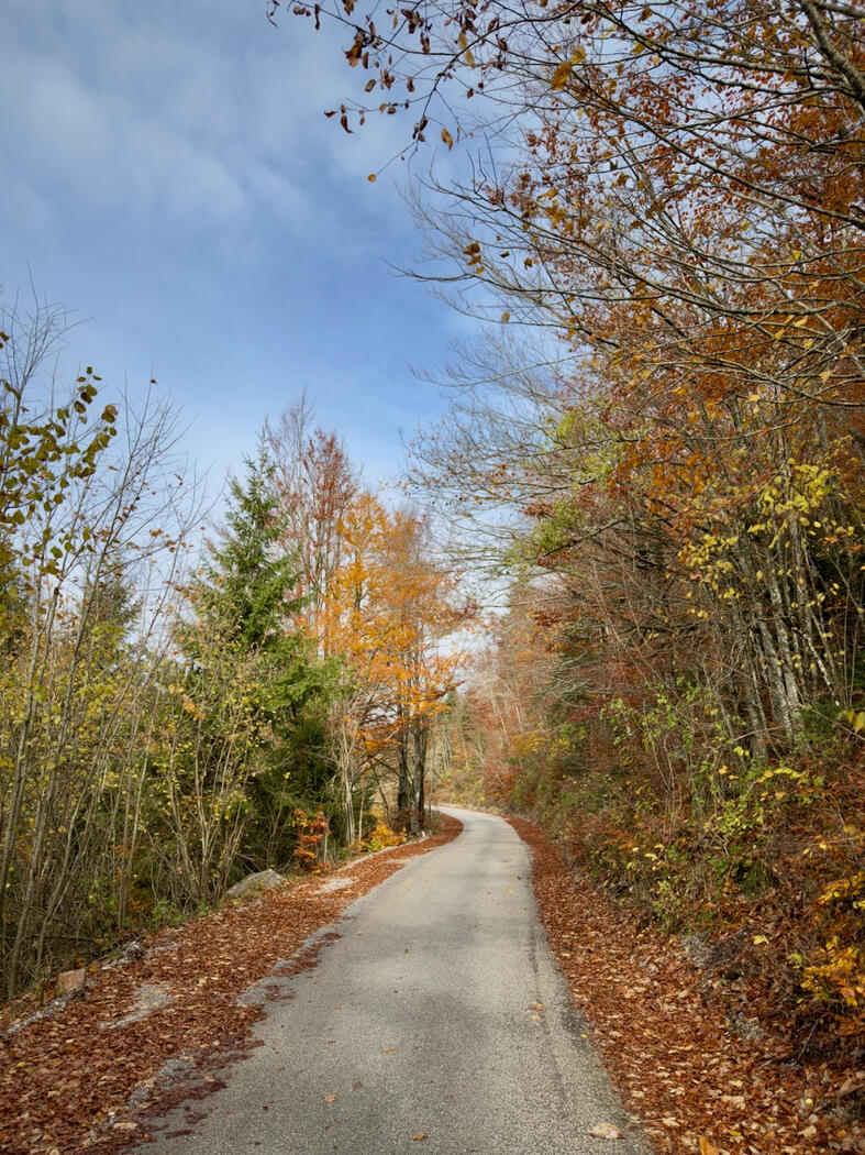 Fotografija - Prilaz Brestovoj dragi