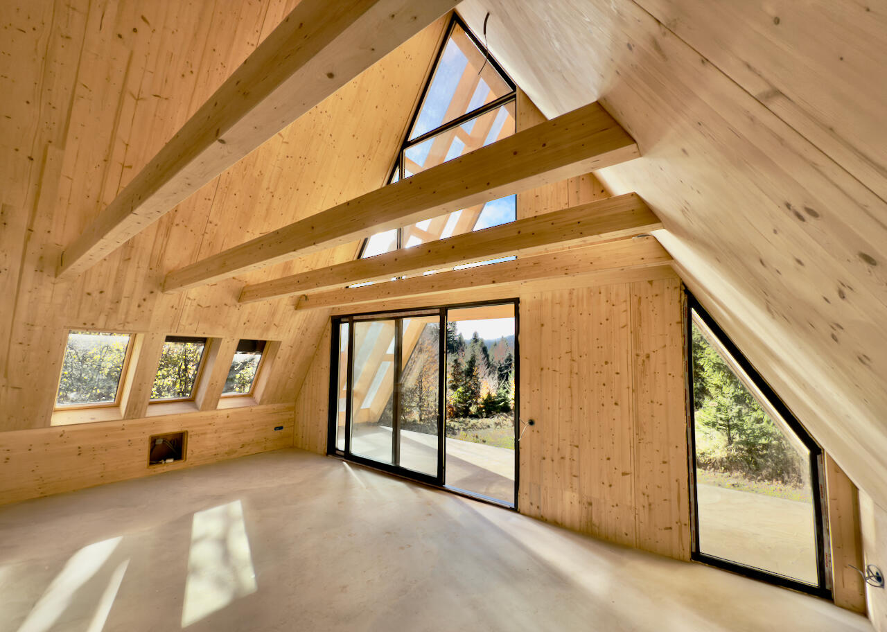 Fotografija - Brestova Draga, šuma